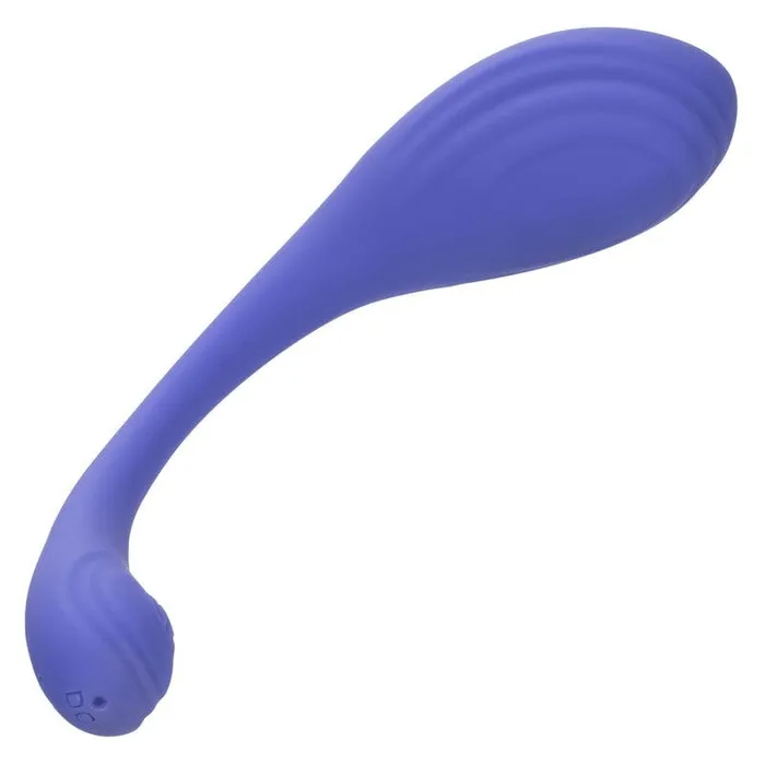 Female Sex Toys CALEXOTICS Calexotics Connect Kegel Exerciser