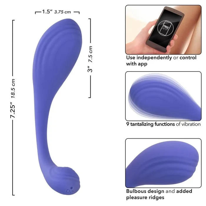 Female Sex Toys CALEXOTICS Calexotics Connect Kegel Exerciser